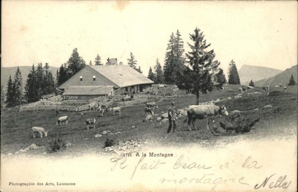 Kuehe Le Pont Montagne