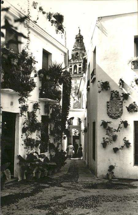 Cordoba Andalucia Calleja de las Flores
