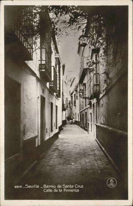 Sevilla Andalucia Barrio de Santa Cruz Calle de la Pimien