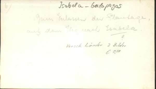 Isabela Galapagos Plantage Pferd Reiter – Bild 2