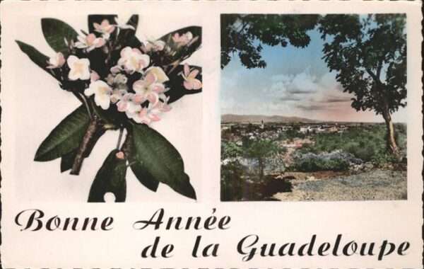 Guadeloupe Bonne Annee Blumen