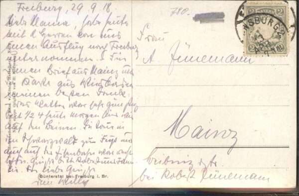 Hoffmann Heinrich Nr. 9 Günterstal – Bild 2
