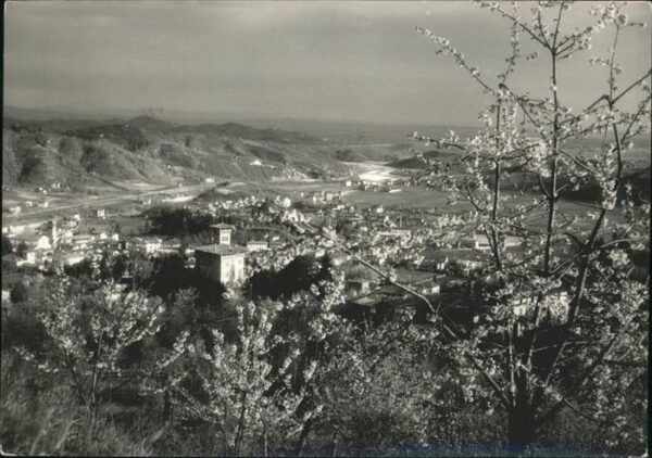 Tarcento Panorama