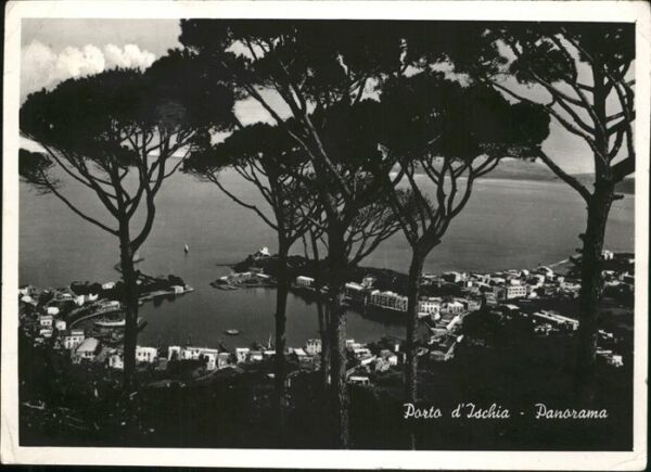 Ischia Porto d_Ischia Panorama