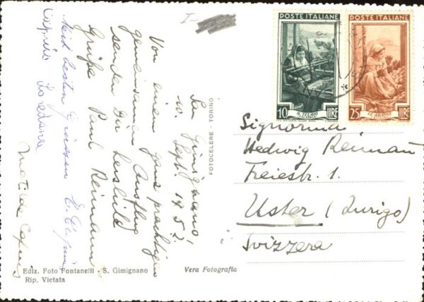 Italien Italia Italy S. Gimignano Kühe Ochsen – Bild 2