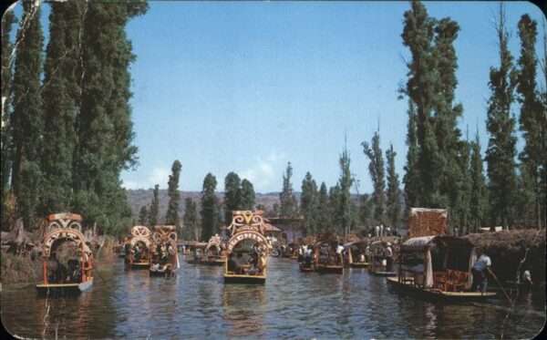 Xochimilco Trajineras decoradas con flores Jardine