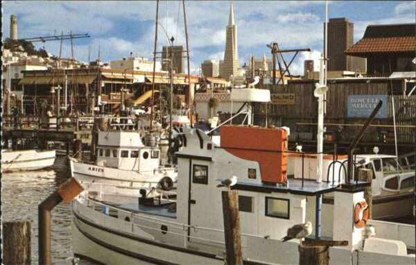 San Francisco California Fisherman's Wharf Coit Tower Transameri
