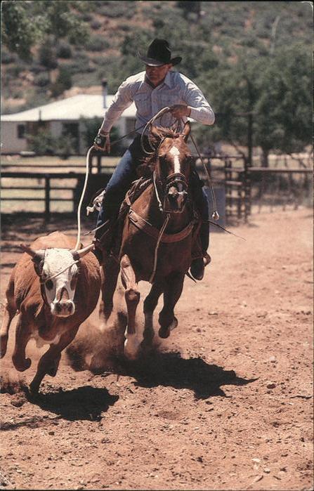 Phoenix Arizona Cowboy