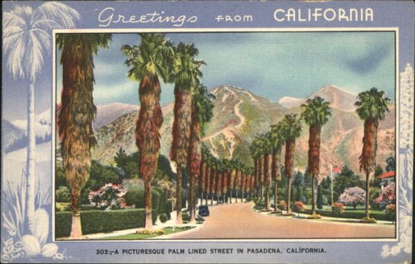 Pasadena California Picturesque Palm Lined Street Künstlerk