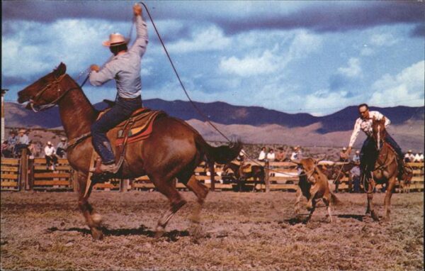Rodeo California Calf roping