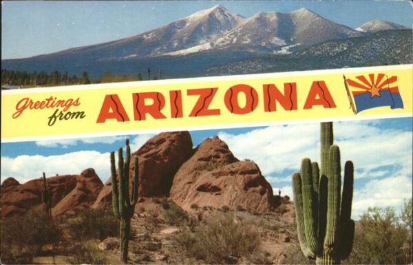 Phoenix Arizona Panorama Mountains Desert Cactus