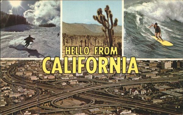 Los Angeles California Snow cap mountains desert in bloom Paci