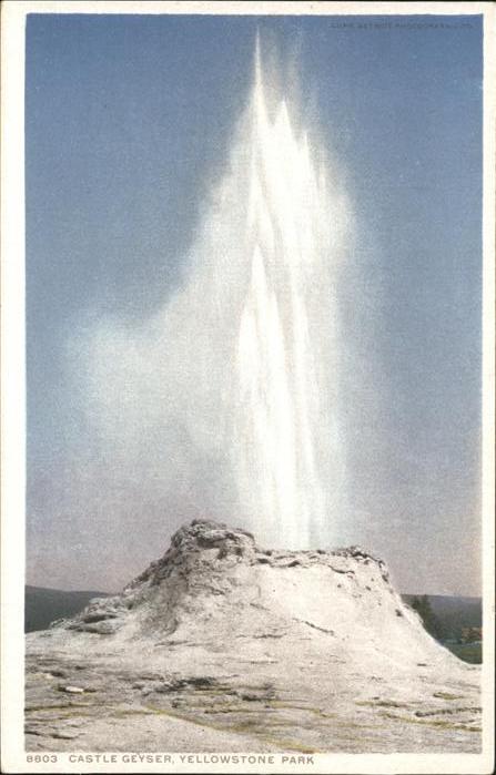 Yellowstone National Park Castle Geyser