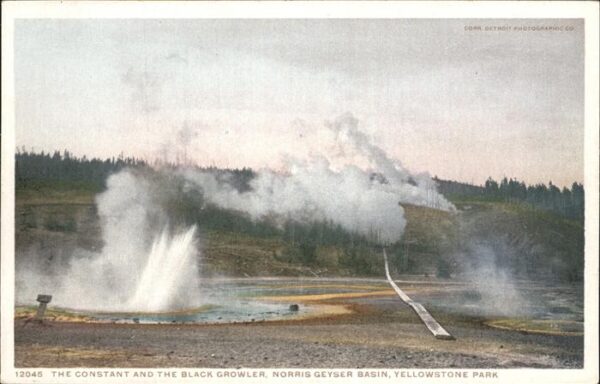 Yellowstone National Park Constant and Black Growler Norris Geyse