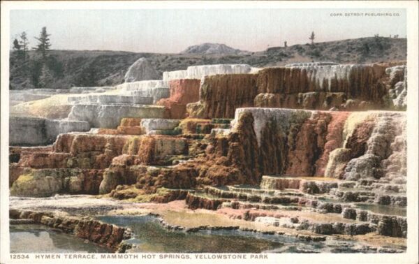 Yellowstone National Park Hymen Terrace Mammoth Hot Springs
