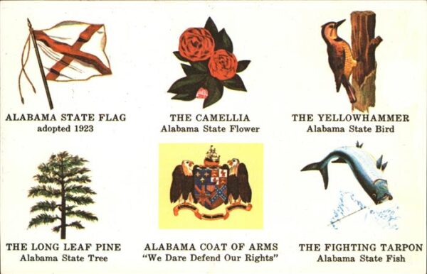 Montgomery Alabama ---