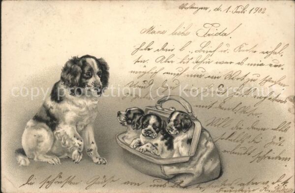 Hunde Tasche