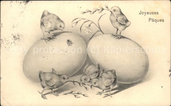 Ostern Easter Paques Küken Eier Wiedenkätzchen