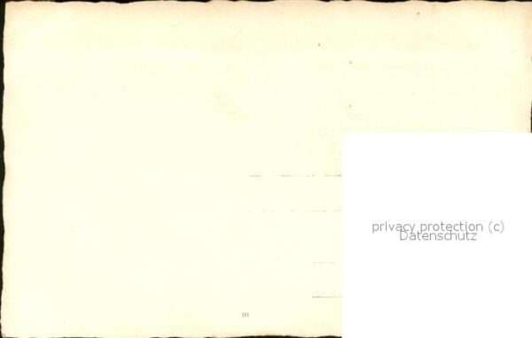 Geige Musiker – Bild 2