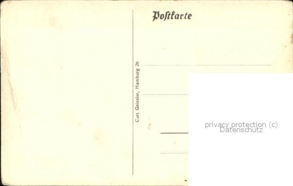 Bueffel Wasserbüffel Führer – Bild 2
