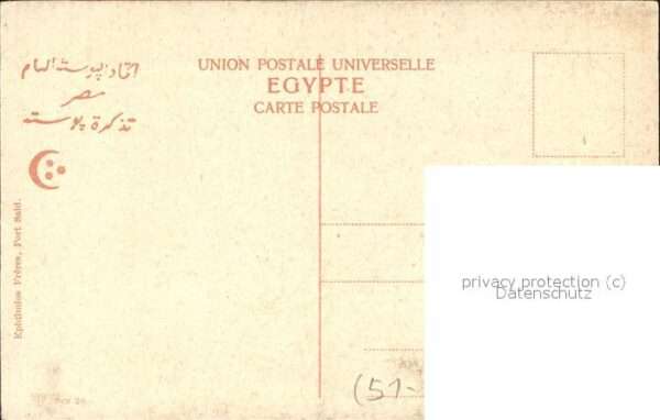 Suez Palmier a la Fontaine de Moise – Bild 2