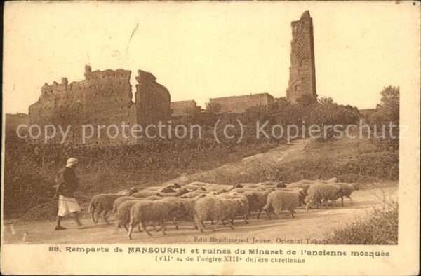 Mansourah Remparts et ruines du Minaret de l'anci