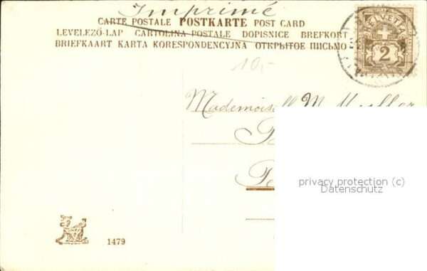 Neujahr Schwalbe – Bild 2
