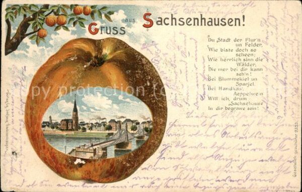 Apfelkarte Sachsenhausen