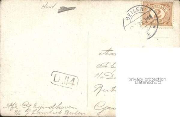 Hunde Ente Künstlerkarte – Bild 2