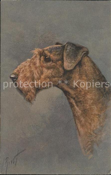 Hunde Airdale Terrier Künstlerkarte