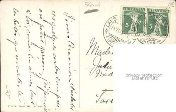 Pferde – Bild 2