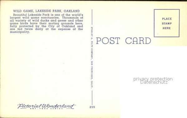 Oakland California Wild Game Refuge im Lakeside Park – Bild 2