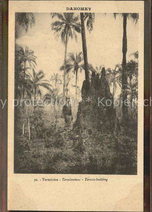 Dahomey Termitenhaus