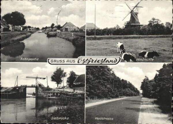 Ostfriesland Windmühle Kühe Fehnpartie Sielbrücke Wa