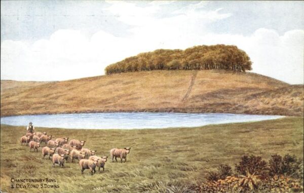 Hirte Chanctonbury Ring Dew Pond S. Downs