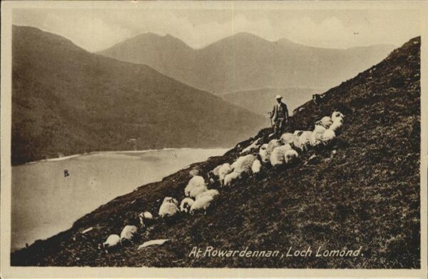 Hirte Rowardennan Loch Lomond
