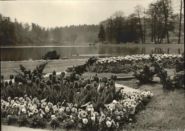 Bundesgartenschau Saarbrücken Blumenbeet