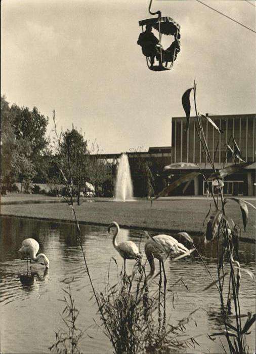 Bundesgartenschau Köln Sesselbahn Flamingos