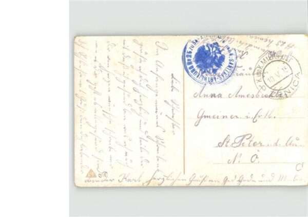Pferde Krieg – Bild 2