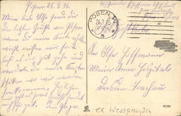 Posen Poznan Königliches Schloss Stadttheater Spring – Bild 2