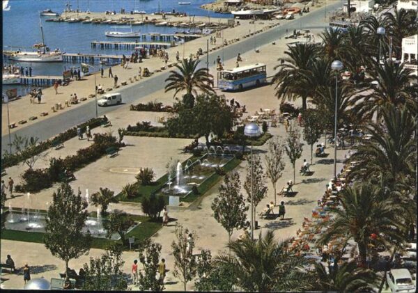 San Antonio Sant Antoni de Portmany Paseo de las palmeras