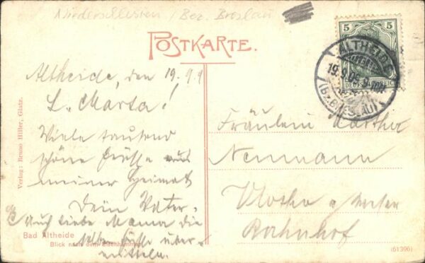 Altheide Bad Schlesien Ortsansicht Kurort – Bild 2