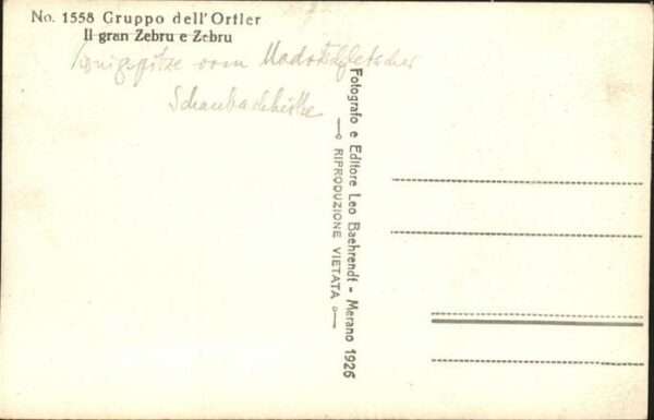 Ortler Gruppo dell Ortler Königsspitze – Bild 2