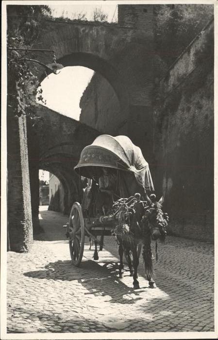 Rom Roma Carro a vino Esel