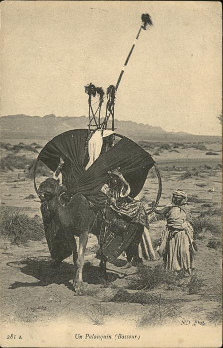 Kamel  Camel Chameau Palanquin Bassour  Algerien