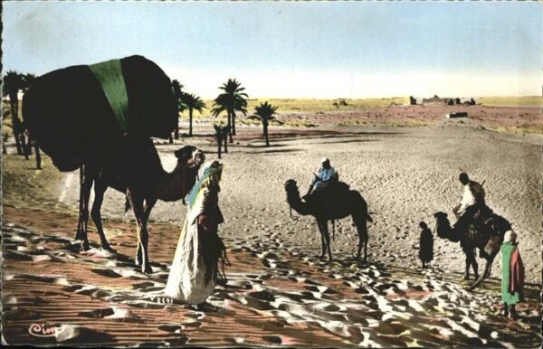Kamel  Camel Chameau Collection Artistique L'Afrique 1075