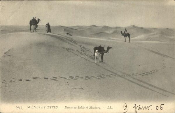 Typen Dunes de Sable et Mechara Kamele