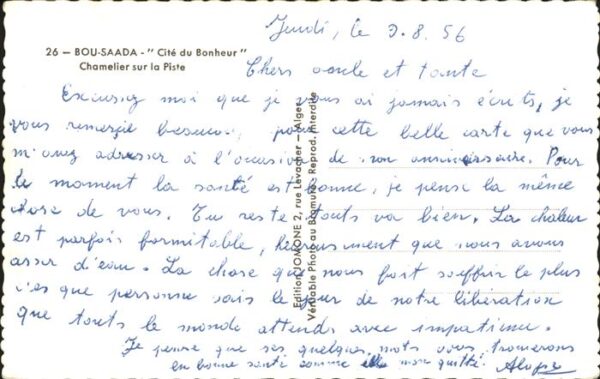 Kamel  Camel Chameau Bou-Saada Alger – Bild 2