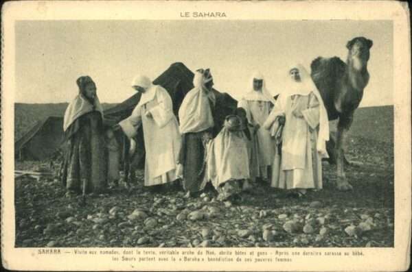 Kamel  Camel Chameau Sahara Nomaden Baraka