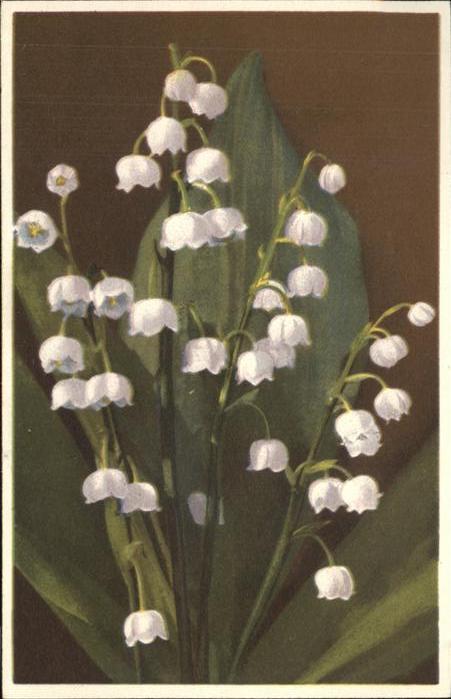 Verlag Photochromie Nr. 1972 Serie 684 Maiglöckchen